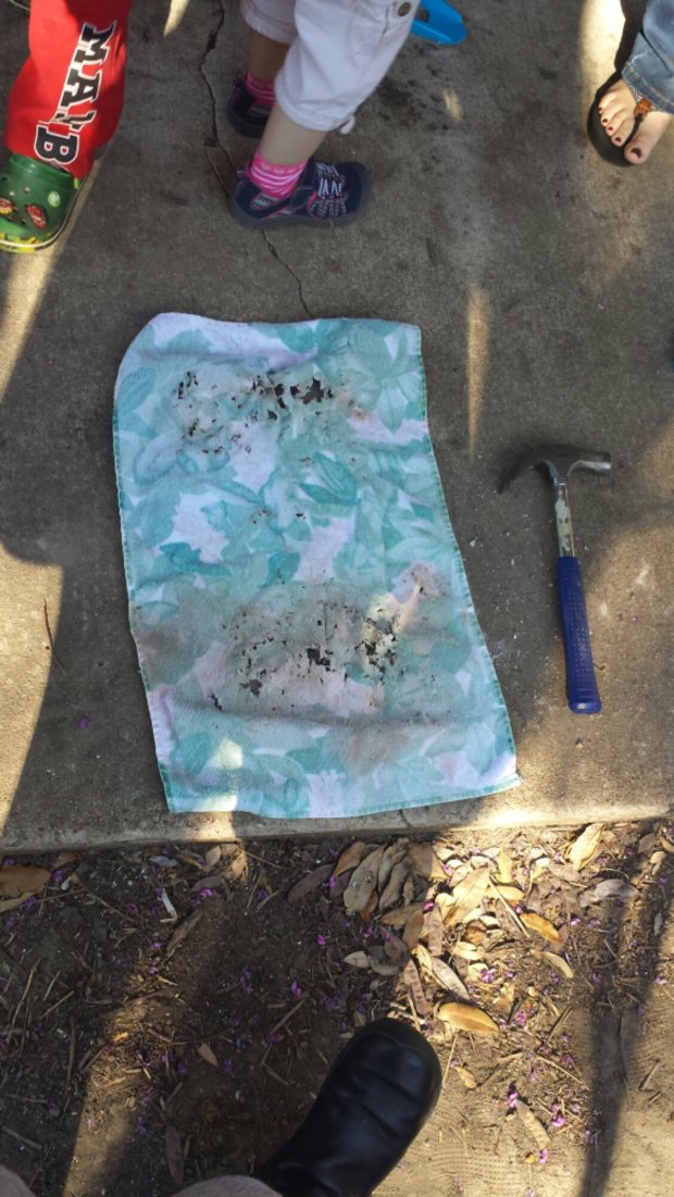 20140330_094907.jpg image