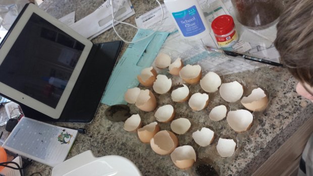 20140404_131059.jpg image