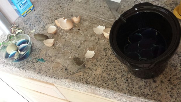 wp-1396715066018.jpg image